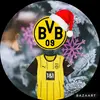 bvb_fan2010