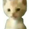xdxd87678