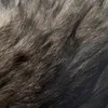 _baunatalii