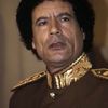 rashidhassan324