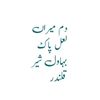 hussain48491