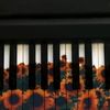 sunflower_piano