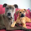 zero_and_echo