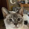 tena_ohio