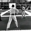 dgzad_jj