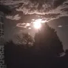 ninafa4