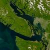 salishsea_life