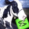 lowercaseguy_0