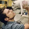 pets4shawn