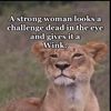 queensgirlnyc