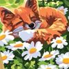 JOE FOX