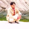 javed6442