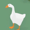 an_goose