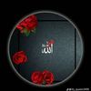 mandeqa03