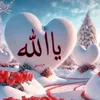 husainbotany