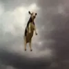 7bg7o