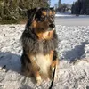 yannicklehmann0