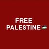 free_palestina2408