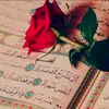 user9125746054264