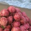 oum_amina__