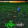 thanalakborhin