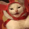 enajidurinku