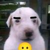 fawxio._.mx2ff