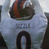 whysosizzle