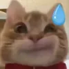 pissbabyhippo
