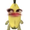 its.cimndaa