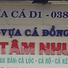 vua_ca_dong_binh_dien