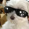 socialdoll_