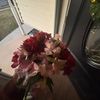 li.liana7756_part2