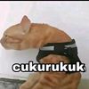 riau207