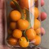 lalla_tomato