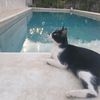 bettychale2