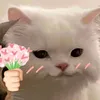 ieu_duongdomic