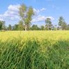 user7131206139199