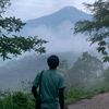 rajuarbol_08