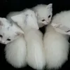 <3