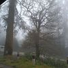 sabeena_143