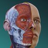 completeanatomy