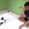 kitkotkelej