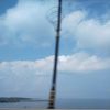 bintari_73