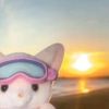 pinkyblomss_09