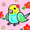 happybudgie2017