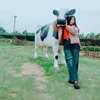 dejnag233