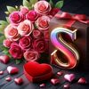 .susu013