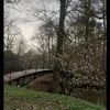 rozalia_52