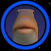 thomas_labbe